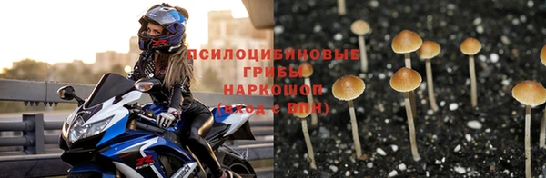 марки nbome Беломорск