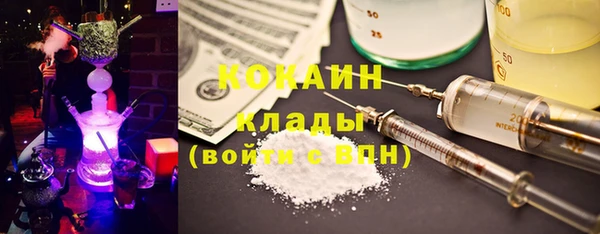 молекула духа Белоозёрский