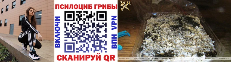 Псилоцибиновые грибы Magic Shrooms  Лыткарино 